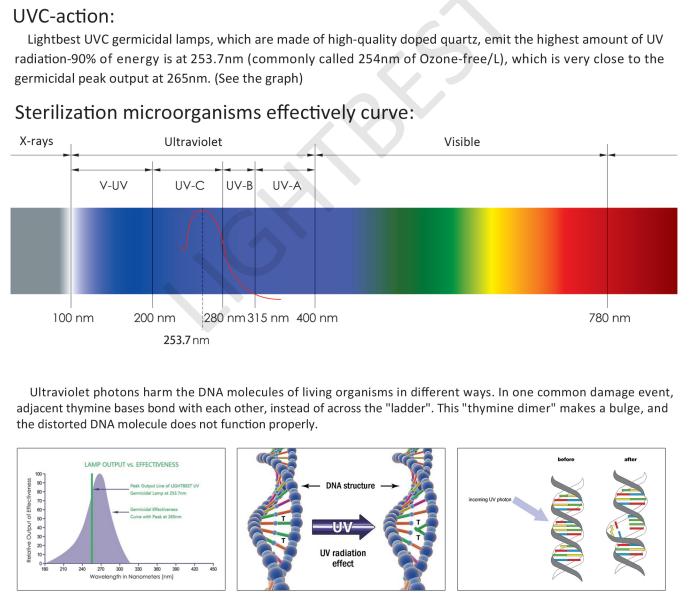 pneumonia por micoplasma