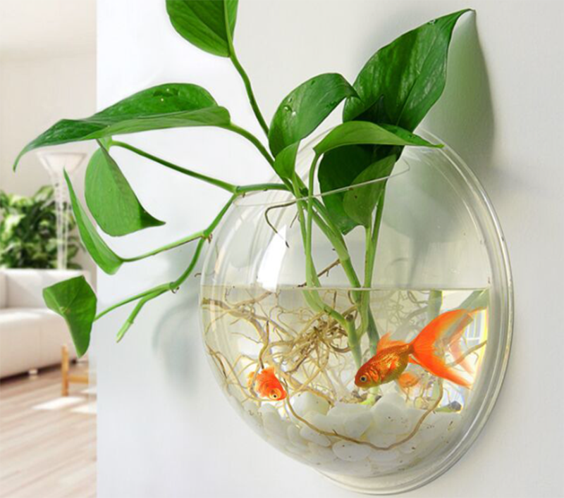 Popularização da Ciência3