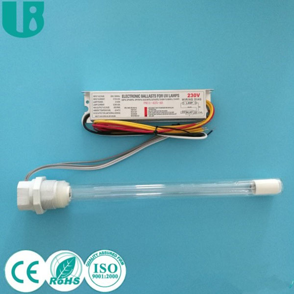 Popularização da Ciência6