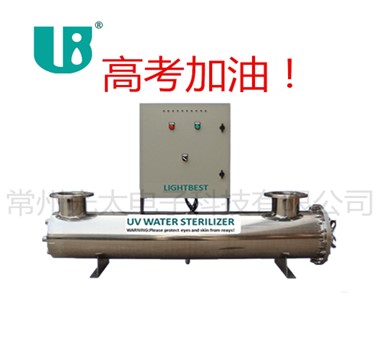 perguntas pela manhã