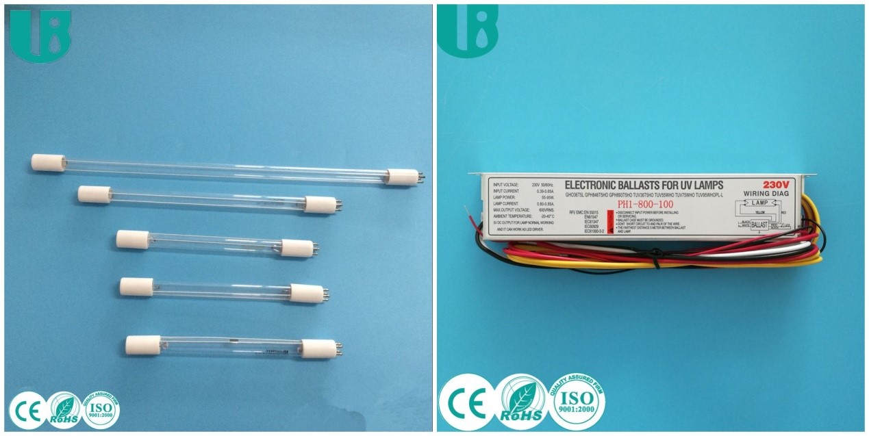 Certificação CE da União Europeia2