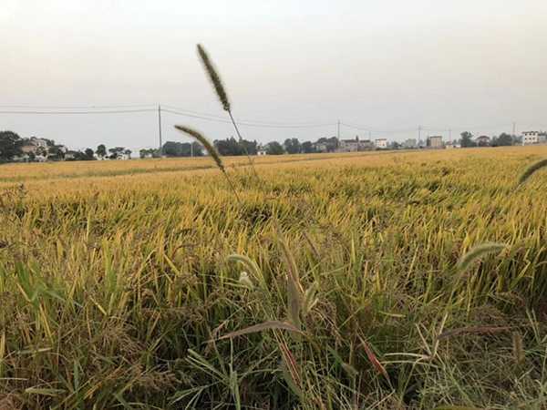 Como prevenir doenças infecciosas comuns no outono e no inverno