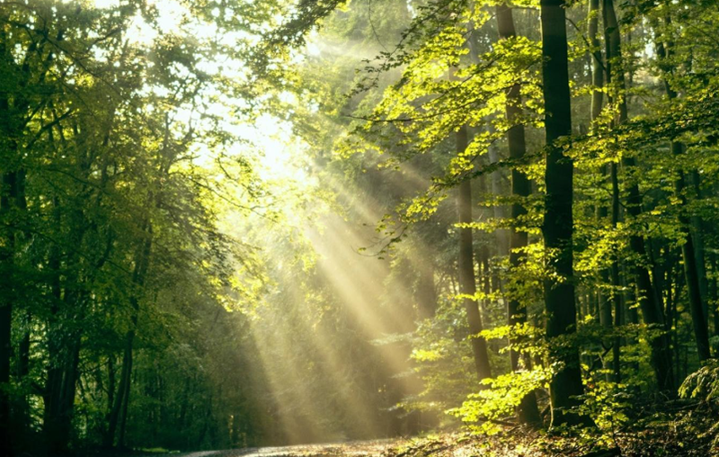 O que é fotocatálise ULTRAVIOLETA?